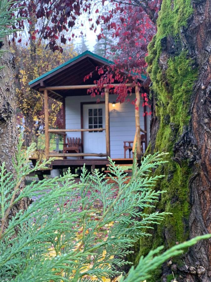 Umpqua's Last - Wilderness Cabins, Rv Park & Glamping Campingplatz Idleyld Park