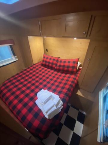 Campingplatz Umpqua's Last - Wilderness Cabins, Rv Park & Glamping Idleyld Park